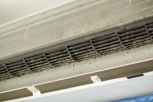 Best HVAC Air Duct Cleaning  in Paw Paw Lake, MI