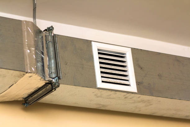 Best Professional Duct Cleaning Services  in Paw Paw Lake, MI